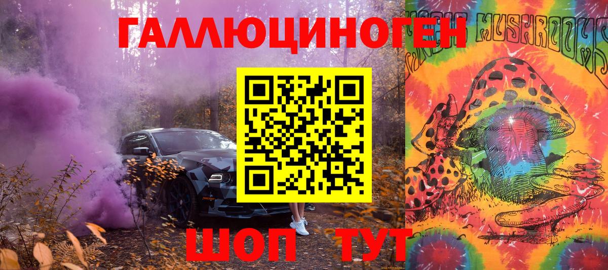 Галлюциногенные грибы Psilocybine cubensis Кашира