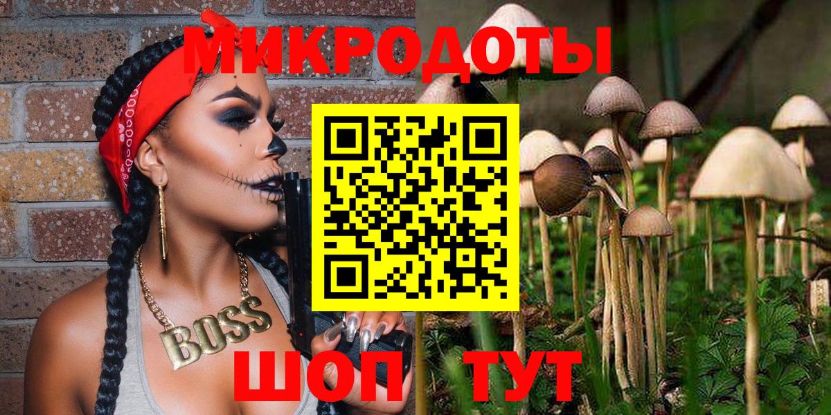 Псилоцибиновые грибы ЛСД  Псилоцибиновые грибы GOLDEN TEACHER  как найти наркотики  Вход с VPN  Кашира 